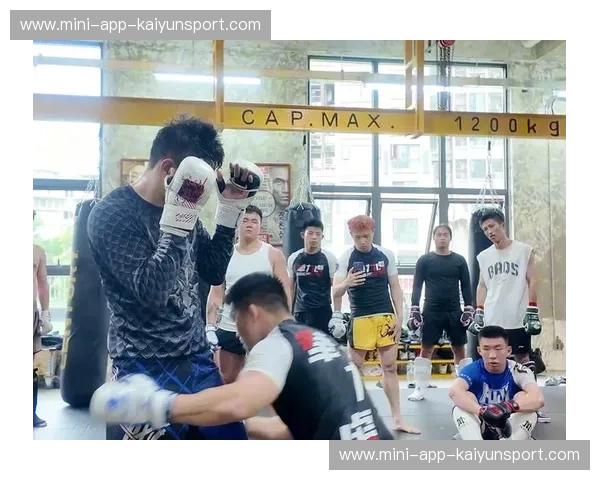 MMA综合格斗精彩回顾